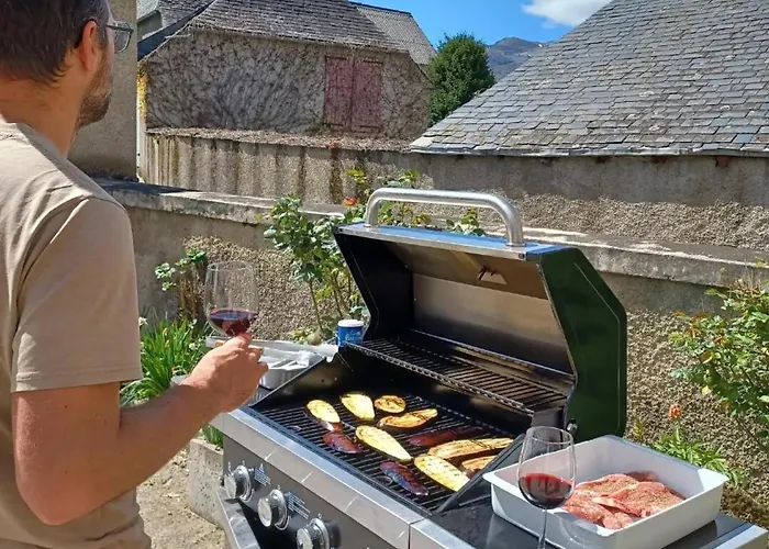 3 Etoiles L'o Gela 14 Places A La Montagne * ギュシャン